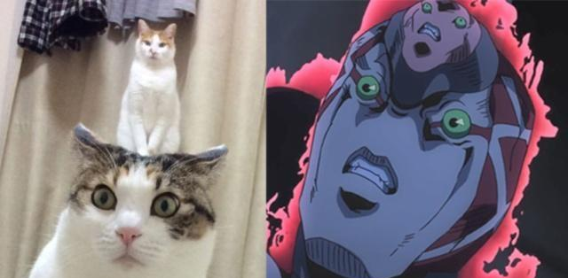 久久亚洲精品无码AV网仙踪林