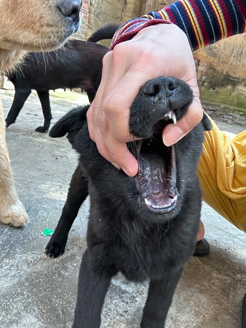 最近中文字幕2019免费版日本 他们翻译字幕并免费发布