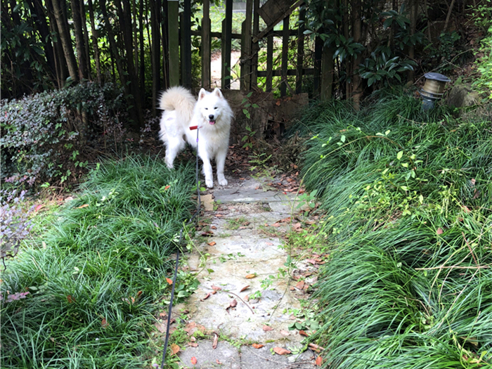 女孩视频 我无法确定具体指向什么内容