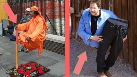 经典啄木鸟 舌骨绕过头骨起到缓冲作用