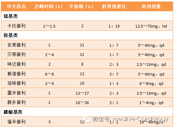 瓜老师的笔记 瓜老与同类教辅笔记产品相比