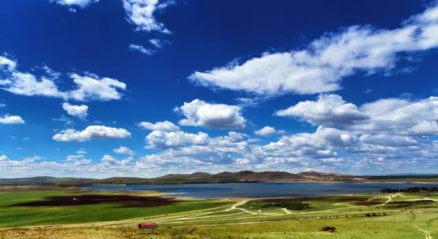 天堂中文最新版WWW在线