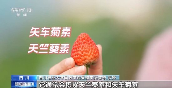 国产在线精品一区二区不卡麻豆 “不卡顿”的线精流畅播放