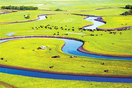 综观影 王家卫）的综观影所有作品
