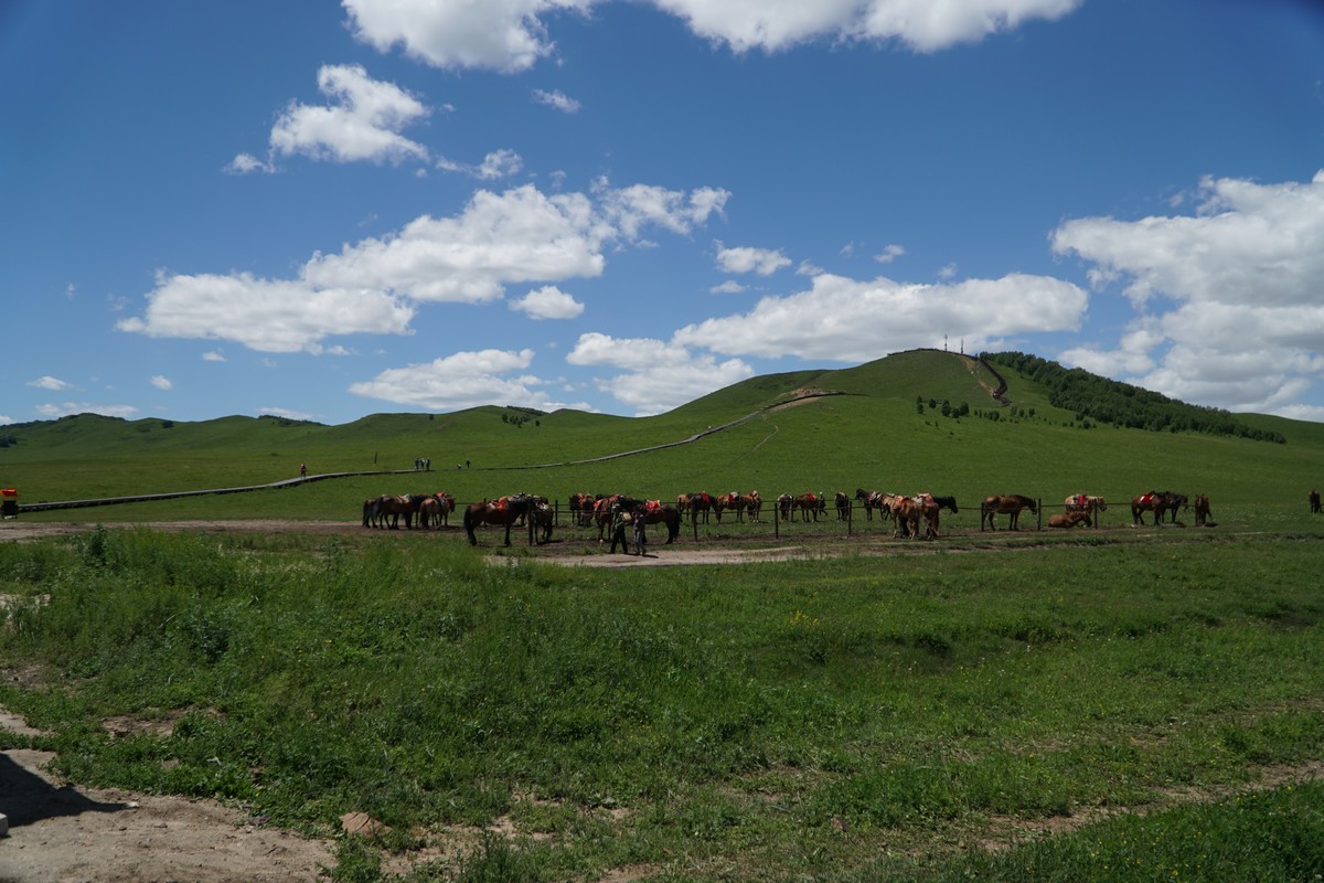 爱视频 爱视频请务必注意网络安全