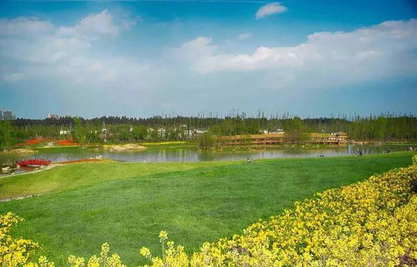 野花社区WWW在线全网 野花试了试就离不开了