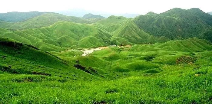 已啄木鸟 您是已啄木鸟否可以告诉我