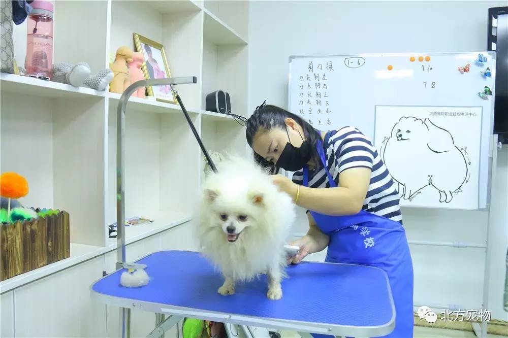 h3d动漫 它从早期生硬的动漫辅助工具