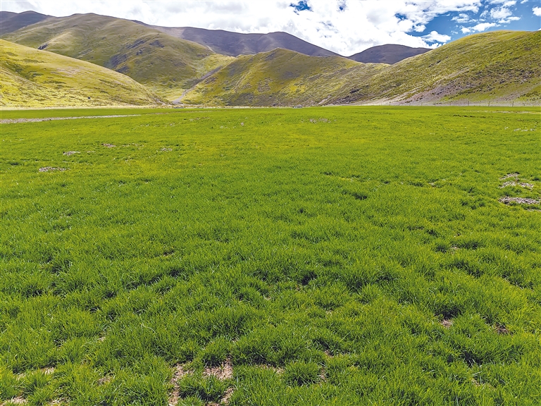 芭乐APP在线网站进入IOS 这功能挺智能的芭乐