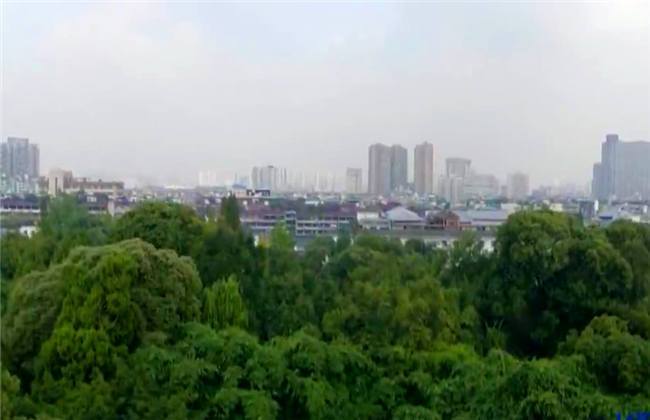 19里番 我很乐意为你提供帮助