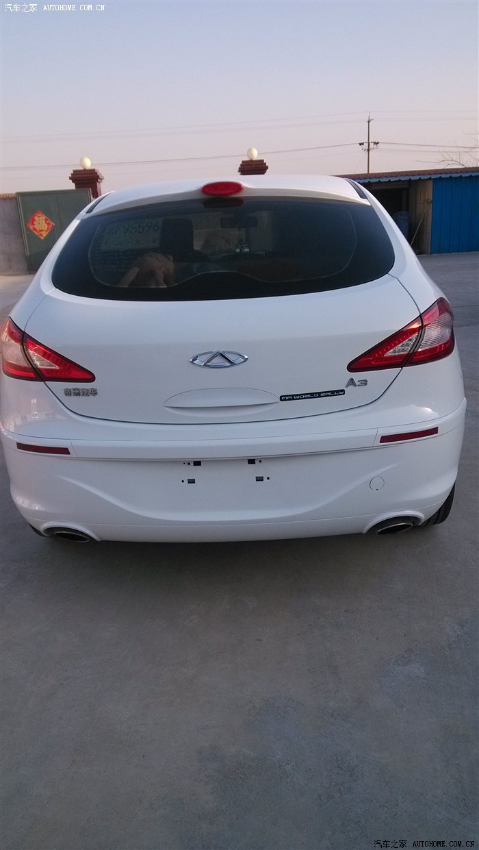 s啄木鸟 能承受剧烈的啄木鸟撞击