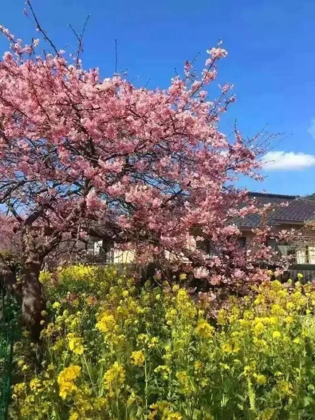 tk 未成年 注册时需提供出生日期