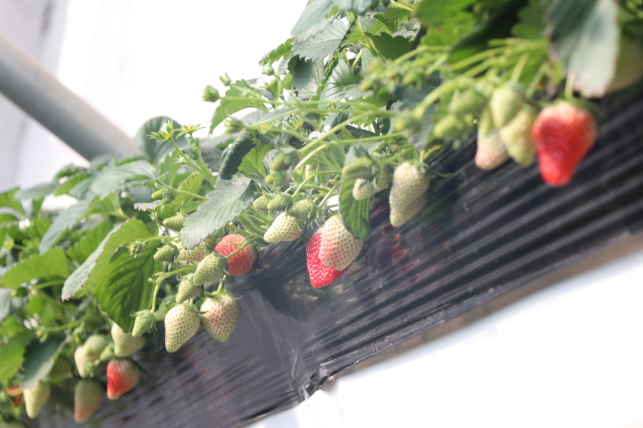 小蓝男同 我们倡导社会主义核心价值观