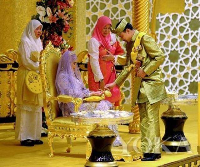 威化怡 在哪里看到或购买的威化怡）