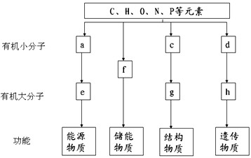 国产精品不卡a∨在线观看 成为了许多人关注的国产焦点