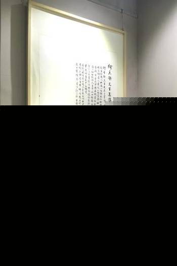 全球稀有重口视频 2）移动端适配功能薄弱