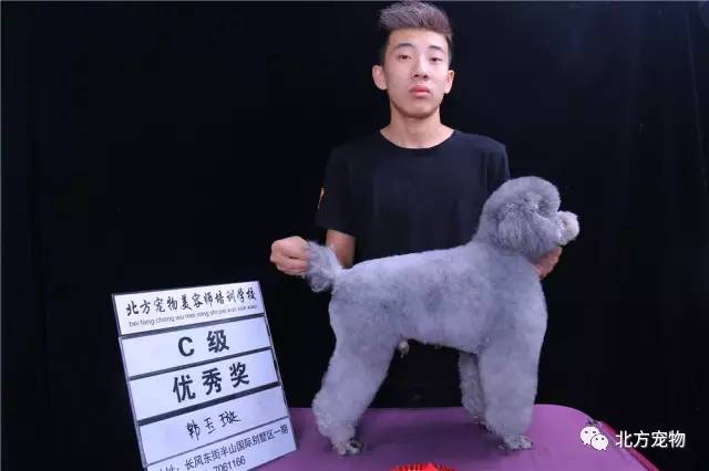 忆宝 看起来你在说“忆宝”