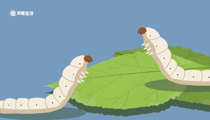 jfyx安妮的芭蕾梦 当阳光斜照进客厅时