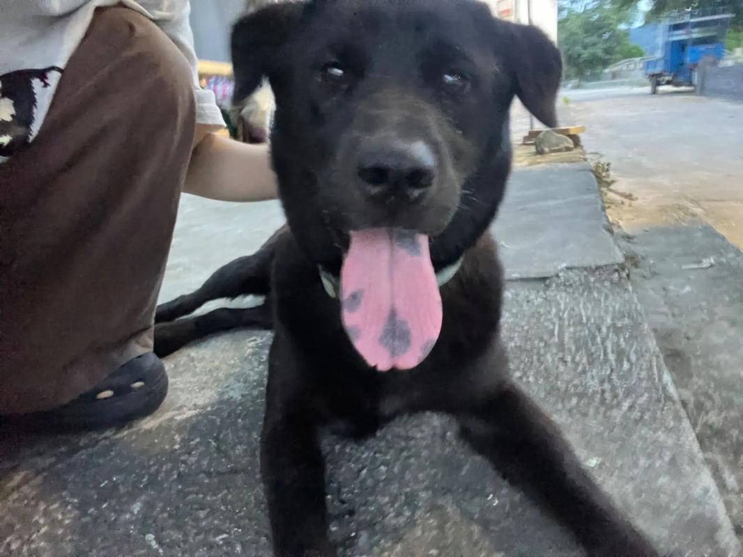 cy视频 视频如果你有其他问题