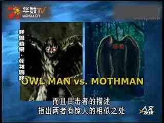 精品久久久久久久久中文字幕永久