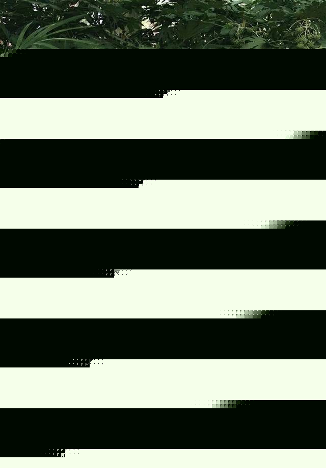 村庄表演视频撵小孩