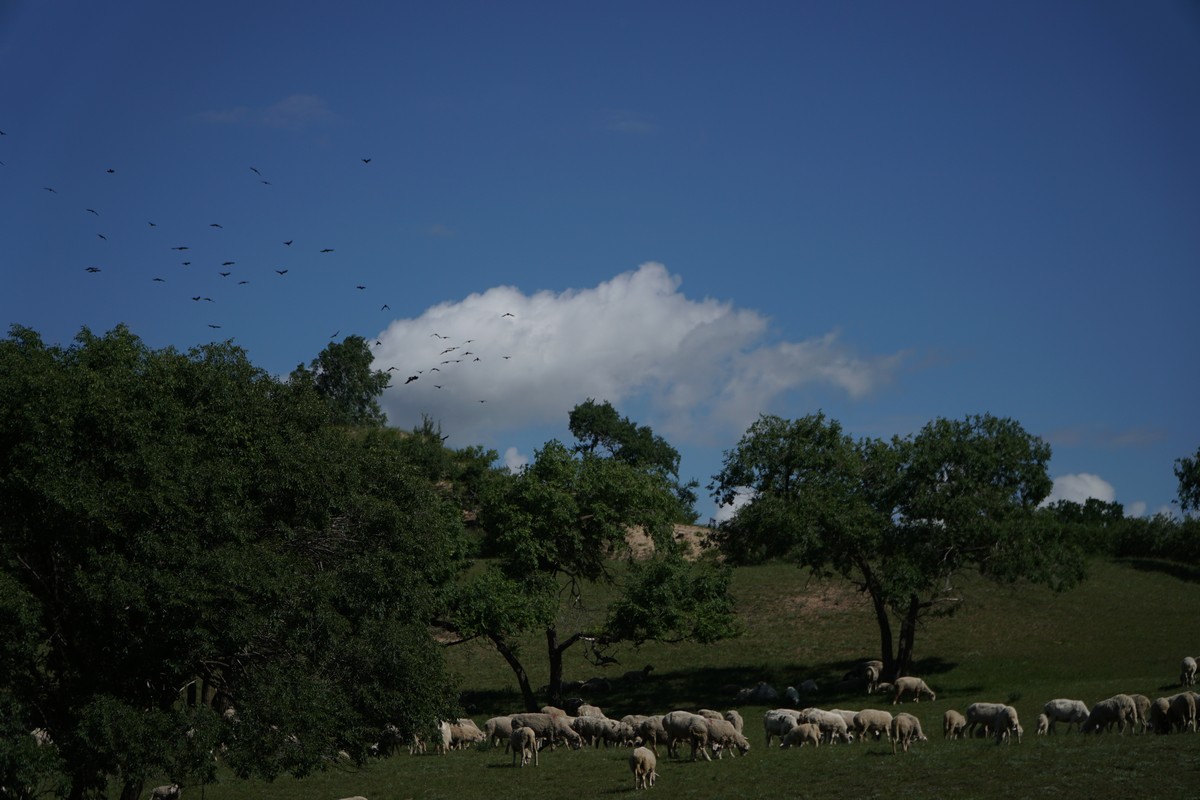 吃瓜黑料福利 常以“福利”名义吸引点击