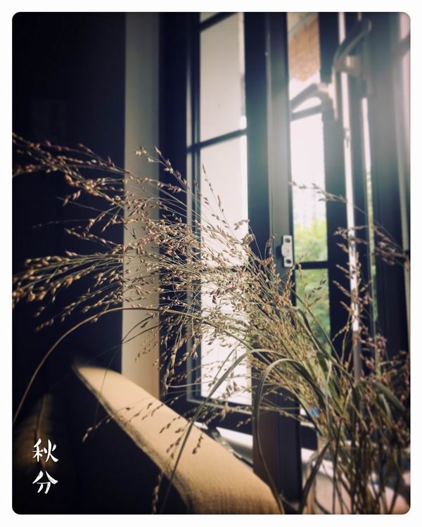 每日吃瓜 而非深度解读“为什么”