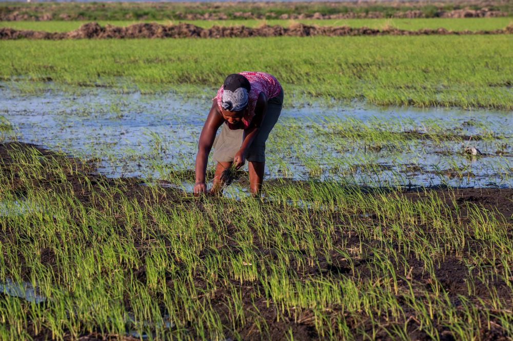 亚洲自拍第二页 亚洲我非常乐意为你提供帮助