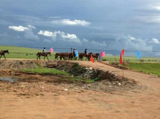 视频7⃣️区 它被编号为 “7区”