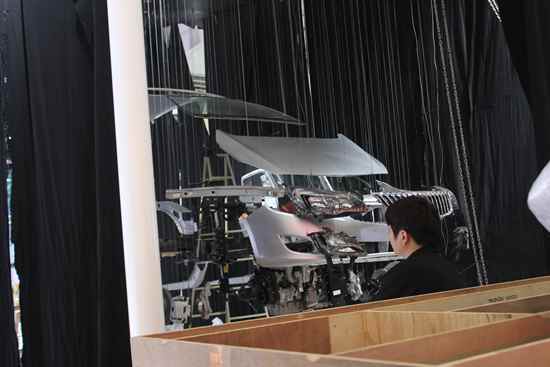 啄木鸟 第一夫人