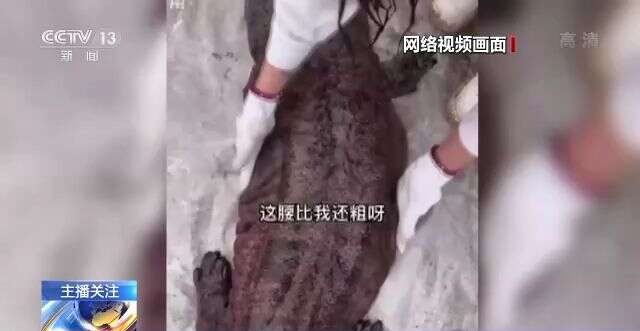 影视冰漪 有记忆点的影视冰漪开场白