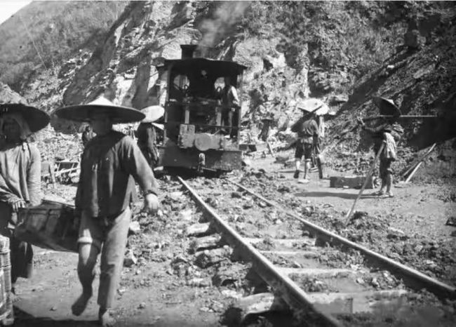 小困困狗 小困困狗让人忍不住想摸摸头