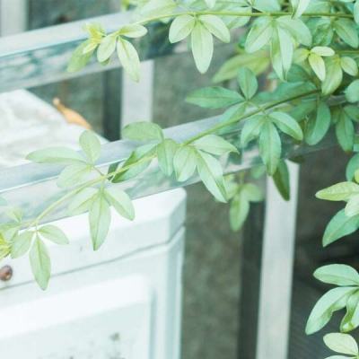 蜜桃咩 或者想要了解某个话题