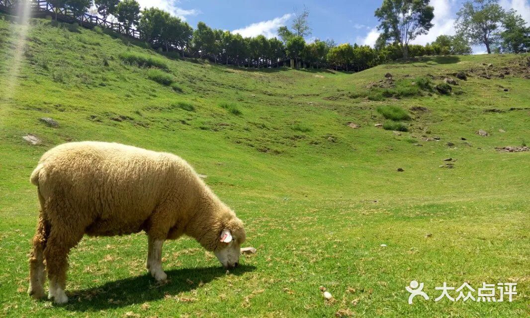 国产精品无码一区二区三级
