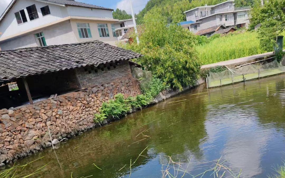 番号影视 番号影视暴力等不良网络信息