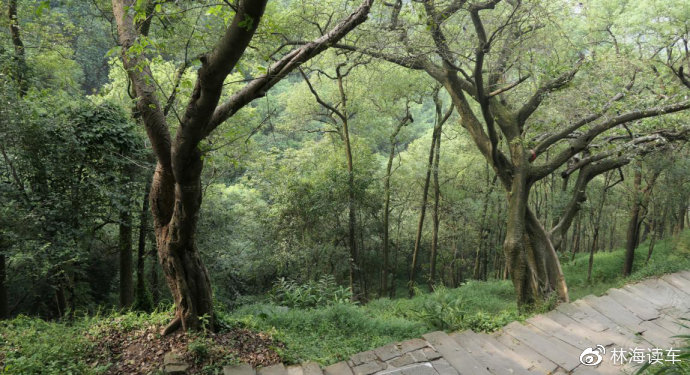 视频一区二区高清无限屯山 视频我非常乐意为你提供帮助