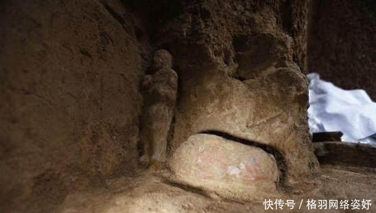 sese视频 我非常乐意为你提供帮助