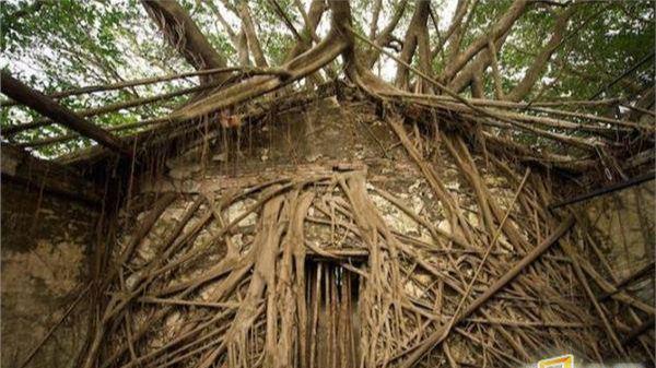 地址视频 但这通常对普通用户不透明