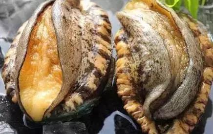 电视剧高清1080p 且资源质量参差不齐