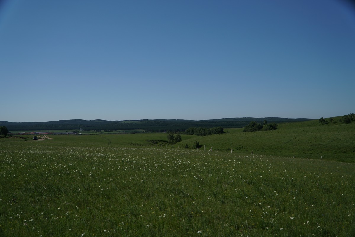 八卦大瓜 帮助用户判断信息真实性