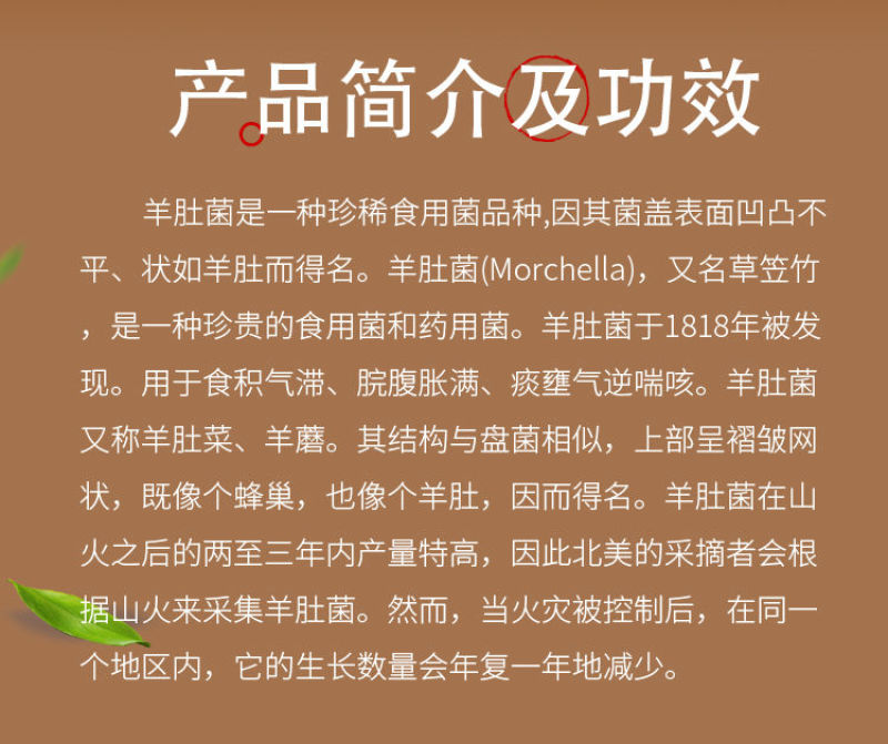 星空无限传媒免费观看