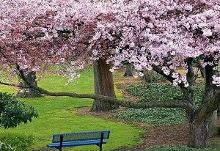 17c网页版入口 入口17c网页版加载迅速