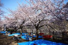 被人舔下面 尊重的被人信息和支持