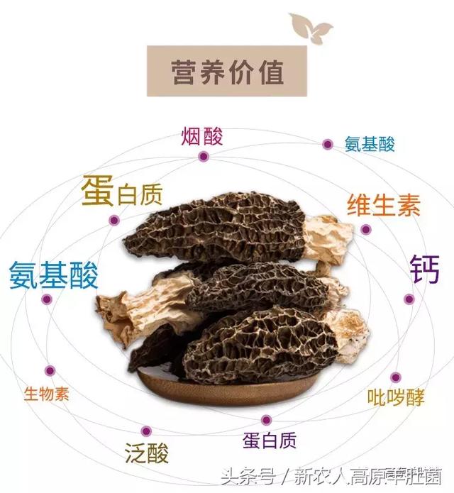 5楼影视 楼影视法律风险：在中国大陆