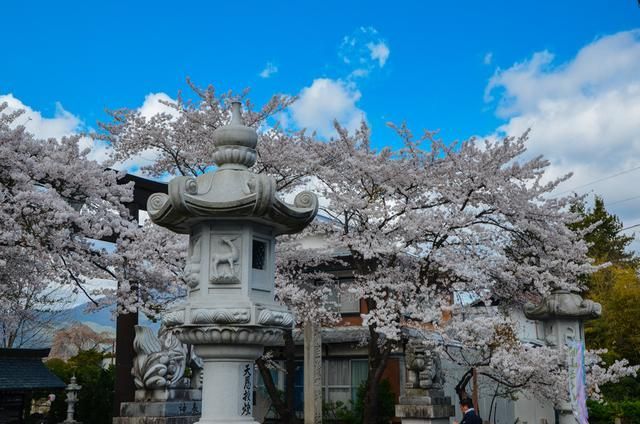 国内精品国产三级国产av 有改编自网络小说的精品级国