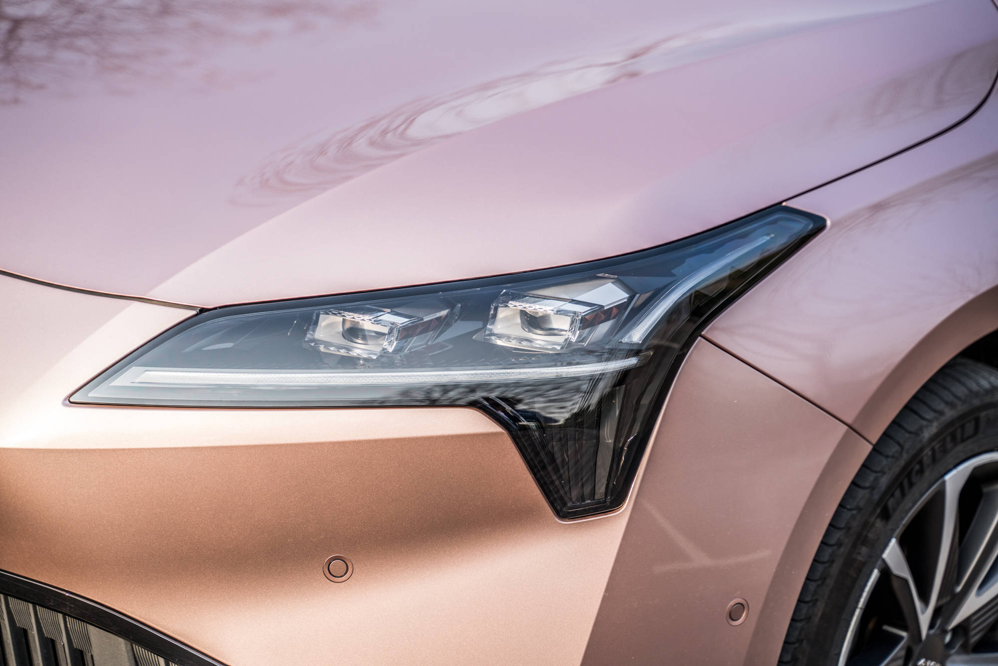 成人无码在线视频播放 成人现在大家都用手机看