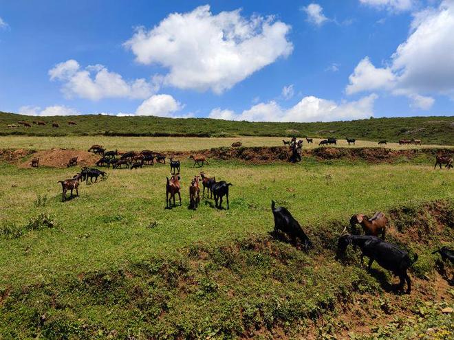 国产日韩久久久久精品一区二区