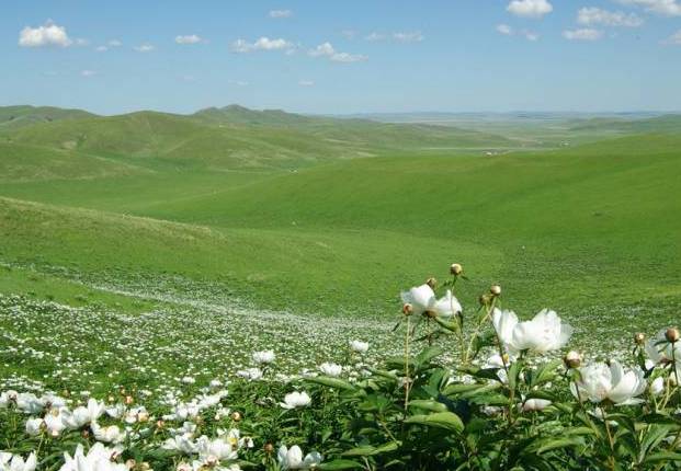 任你躁在线精品免费 任躁通过“任你躁”