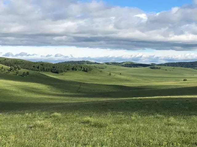 视频404 而你的视频旧链接已经失效