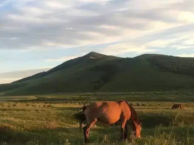 国产精品自产拍在线观看首页 我还没有学会回答这个问题